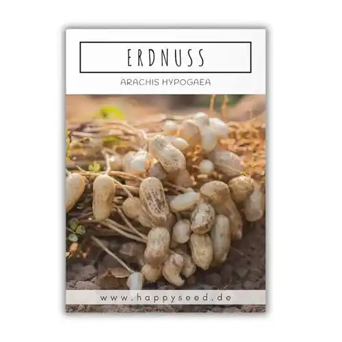 Erdnuss-Samen HappySeed Erdnuss Samen (Arachis hypogeae)