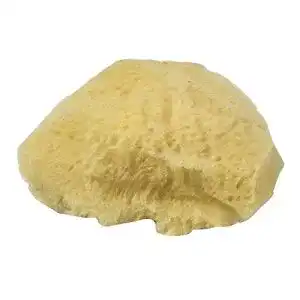 Naturschwamm Rayher Set Grass, Beutel 3 Stück, 100% natürlich