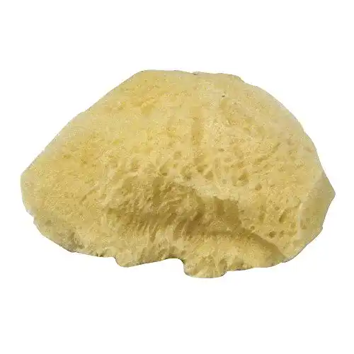 Naturschwamm Rayher Set Grass, Beutel 3 Stück, 100% natürlich