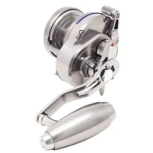 Die beste Daiwa-Multirolle Daiwa Saltiga 35NL-SJ Multirolle 2026 Test Bestseller Daiwa-Multirolle Daiwa Saltiga 35NL-SJ Multirolle