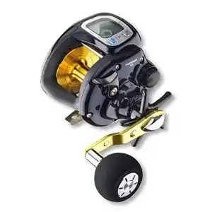 Elektro-Multirolle Daiwa  Tanasensor 500