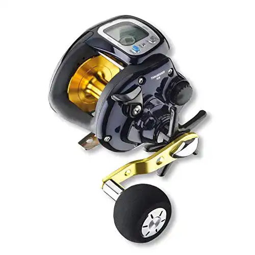 Elektro-Multirolle Daiwa  Tanasensor 500