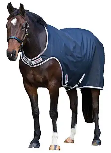 Die beste Führanlagendecke Horseware Amigo Walker Rug Large 2026 Test Bestseller Führanlagendecke Horseware Amigo Walker Rug Large