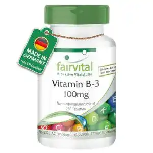 Vitamin B3 fairvital Niacin 100mg, HOCHDOSIERT, 250 Tabletten