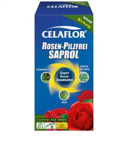 Die beste Mittel gegen Mehltau Celaflor Rosen-Pilzfrei Saprol, 250 ml 2026 Test Bestseller Mittel gegen Mehltau Celaflor Rosen-Pilzfrei Saprol, 250 ml
