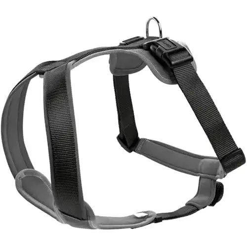 Die beste Hundegeschirr Hunter HUNTER NEOPREN, Nylon, M/1 53 - 65 cm 2026 Test Bestseller Hundegeschirr Hunter HUNTER NEOPREN, Nylon, M/1 53 – 65 cm