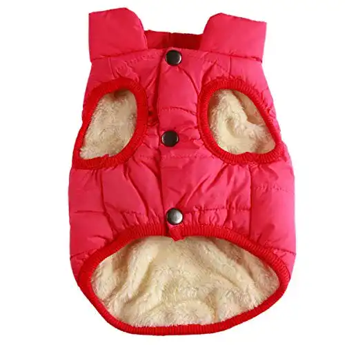 Hundemantel JoyDaog 2-lagige mit Fleece gefütterte Hundejacke