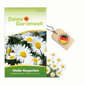 Margeritensamen Deine Gartenwelt Margerite weiß Samen