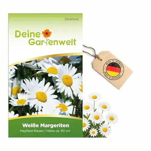 Margeritensamen Deine Gartenwelt Margerite weiß Samen
