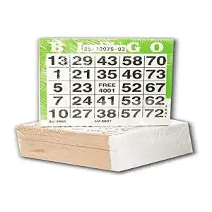 Bingo-Karten Speelgoed 360601 Bingo Karten 500st
