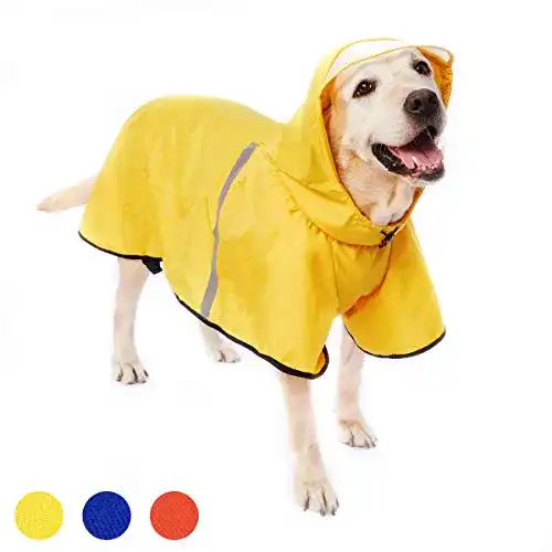Hunde-Regenmantel Dociote, mit Kapuze & Kragenloch
