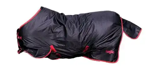 Die beste Regendecke Pferd Kerbl 324474 Outdoordecke Rugbe Zero.1 2026 Test Bestseller Regendecke Pferd Kerbl 324474 Outdoordecke Rugbe Zero.1