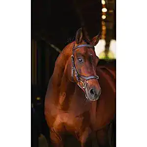 Kappzaum Horseware Rambo New Micklem Multi Proffesional