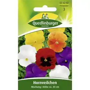 Hornveilchen-Samen Quedlinburger Hornveilchen, Hybrid-Mischung