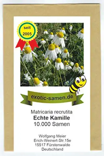 Kamille-Samen exotic-samen Echte Kamille, 10.000 Samen