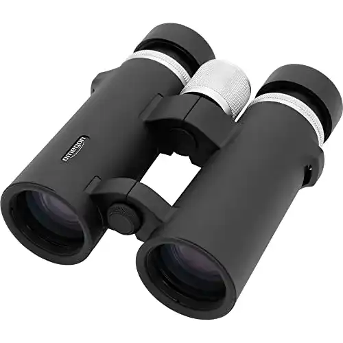Omegon-Fernglas Omegon Fernglas Talron HD 10×42, ultrascharf