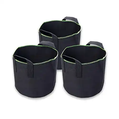 Die beste Pflanzsack Schramm ® 3 Stück Pflanzsäcke aus Filz 20 Liter Ø 31cm 2026 Test Bestseller Pflanzsack Schramm ® 3 Stück Pflanzsäcke aus Filz 20 Liter Ø 31cm