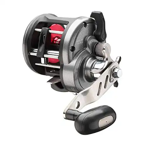 Die beste Daiwa-Multirolle Daiwa Sealine 30LWLA Multirolle 2026 Test Bestseller Daiwa-Multirolle Daiwa Sealine 30LWLA Multirolle