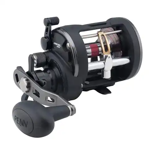 Penn-Rollen Penn Warfare Level Wind Multirollen, 20| Right