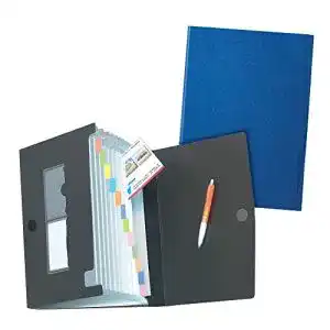 Sammelmappe Herlitz 1978048 Fächermappe A4 PP, 12 Fächer