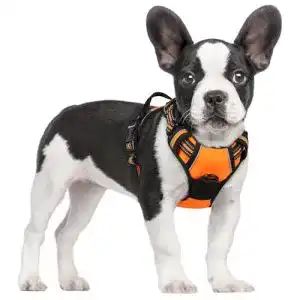 Welpengeschirr rabbitgoo No-Pull Hundegeschirr, einstellbar, S