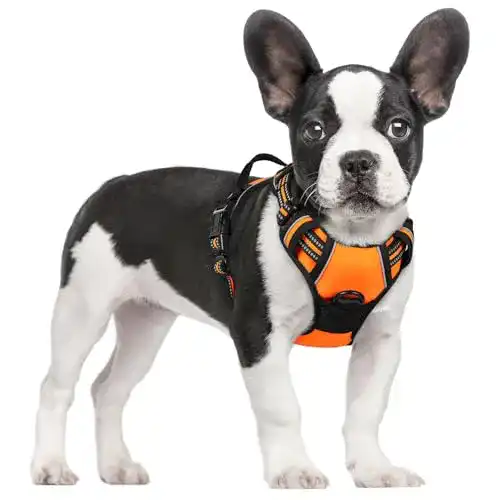 Welpengeschirr rabbitgoo No-Pull Hundegeschirr, einstellbar, S