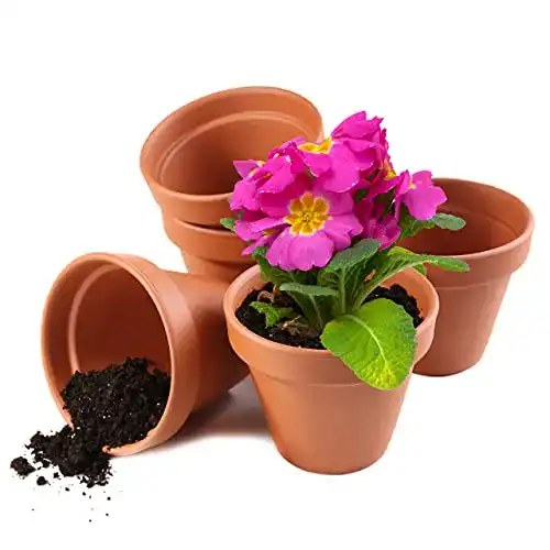 Kleine Tontöpfe Garden Mania, 12 Mini-Blumentöpfe aus