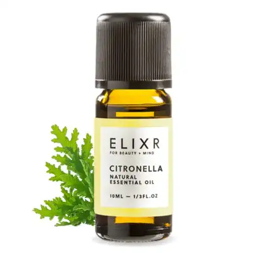 Die beste Citronella-Öl ELIXR Citronella Öl 10ml, 100% naturrein 2026 Test Bestseller Citronella-Öl ELIXR Citronella Öl 10ml, 100% naturrein