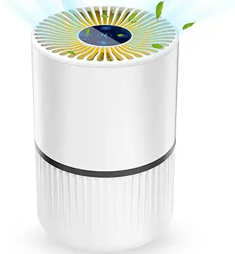 Viren-Ionisator 30 qm Laluztop, mit HEPA-Kombifilter, 5-Stufen