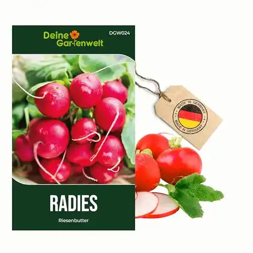 Radieschen-Samen Deine Gartenwelt Radieschen Riesenbutter