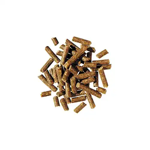 Bierhefe Pferd Agrobs Bierhefe pur, 3000 g