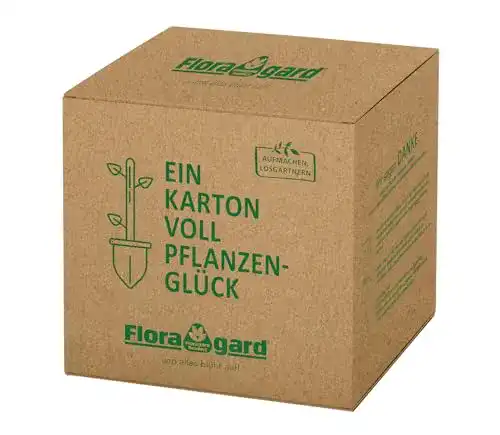 Hochbeeterde Floragard Bio Hochbeet-Erde in der Box 60 Liter
