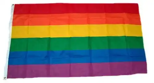 LGBTQ-Flagge FahnenMax Fahne Regenbogen 90 x 150 cm