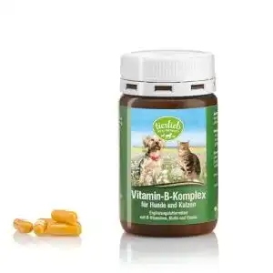 Vitamin-B-Komplex Hund Kräuterhaus Sanct Bernhard 120 Kapseln