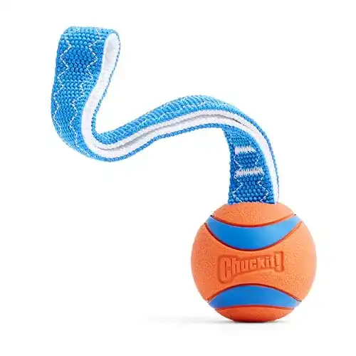 Hundeball Chuckit! CH231201 Ultra Tug Medium