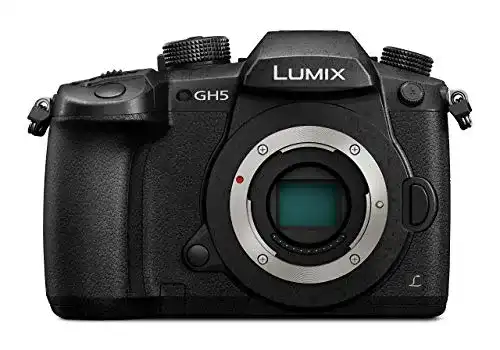 MFT-Kamera Panasonic LUMIX Systemkamera DC-GH5EG-K