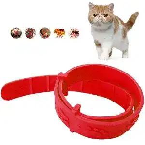 Zeckenhalsband (Katzen) LEEBA Zecken- und Flohhalsband