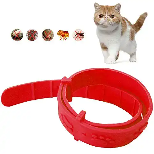 Zeckenhalsband (Katzen) LEEBA Zecken- und Flohhalsband