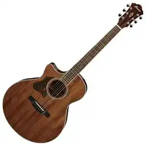 Ibanez-Westerngitarre Ibanez AE245L-NT Westerngitarre