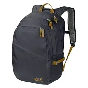 Jack-Wolfskin-Rucksack Jack Wolfskin DAYTON bequemer Daypack