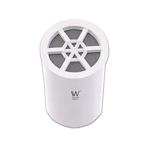 Duschfilter WaterWell Kartusche