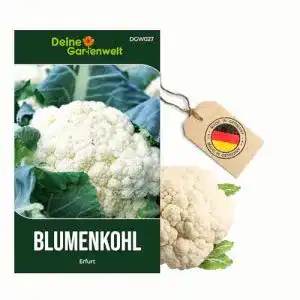 Kohl-Samen Deine Gartenwelt Blumenkohl Erfurt Samen