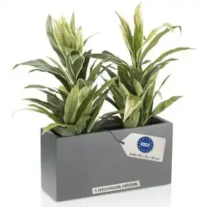 Pflanzkübel (Fiberglas) DECORAS Pflanztrog Blumentrog VISIO