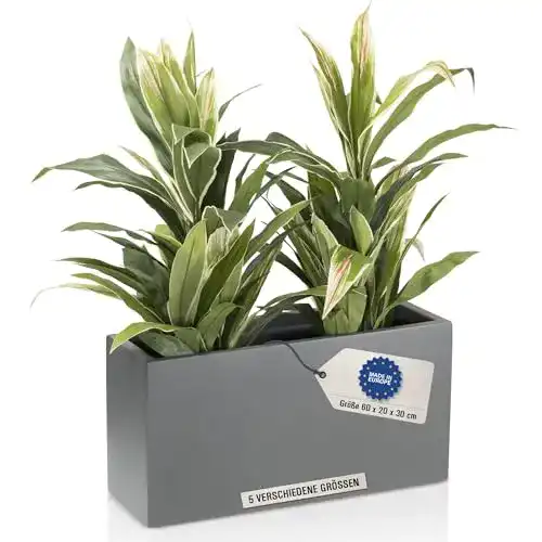 Pflanzkübel (Fiberglas) DECORAS Pflanztrog Blumentrog VISIO