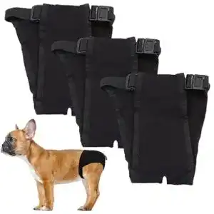 Läufigkeitshose-Hündin LeerKing Läufigkeitshose 3er Pack