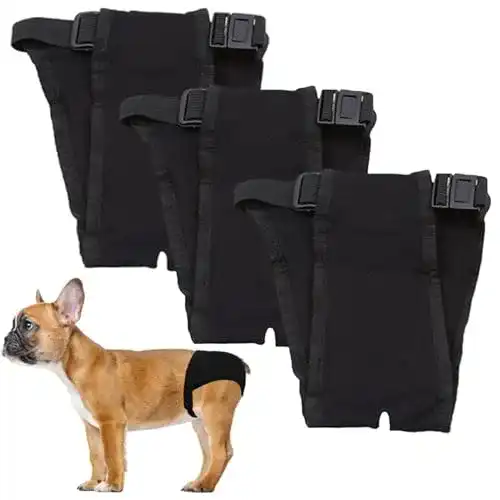 Die beste Hundewindeln LeerKing Läufigkeitshose 3er Pack Höschen 2026 Test Bestseller Hundewindeln LeerKing Läufigkeitshose 3er Pack Höschen