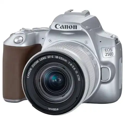 Canon-Systemkamera Canon EOS 250D Digitalkamera
