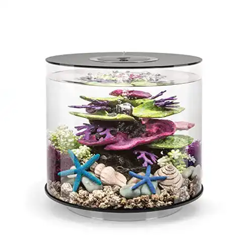 rundes Aquarium biOrb 72062 TUBE 15 LED schwarz, 15 Liter