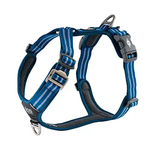 Hundegeschirr mit Brustring DOG Copenhagen V2 Walk Harness