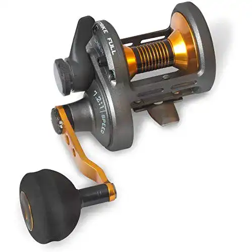Multirolle Fin-Nor Primal PR10HS – zum Meeresangeln, Meeresrolle zum Pilkangeln & Naturköderangeln, Angelrolle